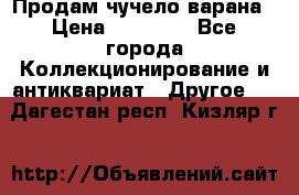 Продам чучело варана › Цена ­ 15 000 - Все города Коллекционирование и антиквариат » Другое   . Дагестан респ.,Кизляр г.